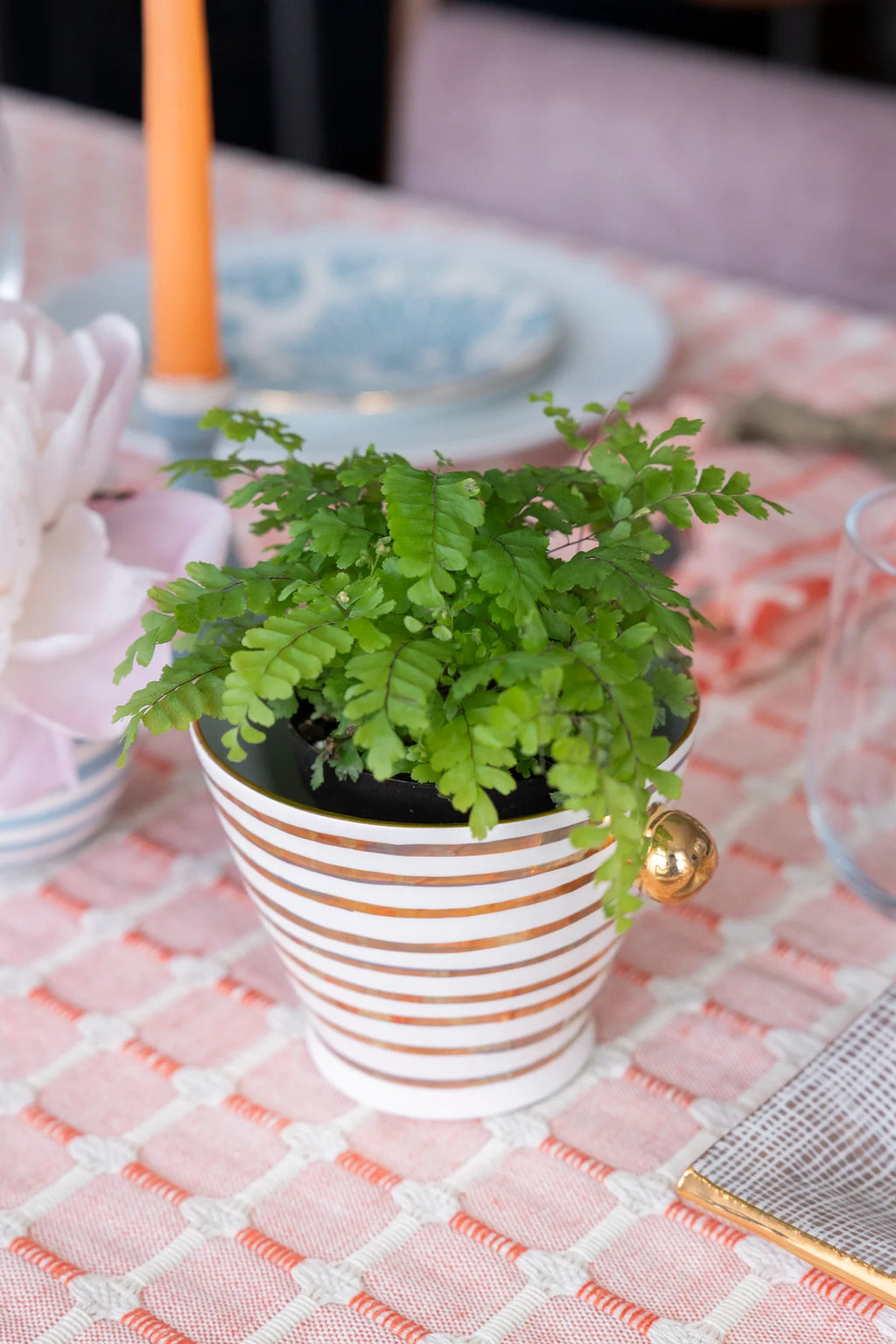 Creamsicle- Mini Herb Pot