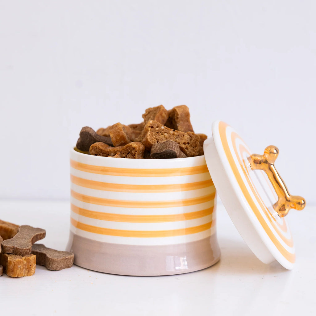 Ready to Ship- Jill Rosenwald X Polkadog Bone Jar- OJ