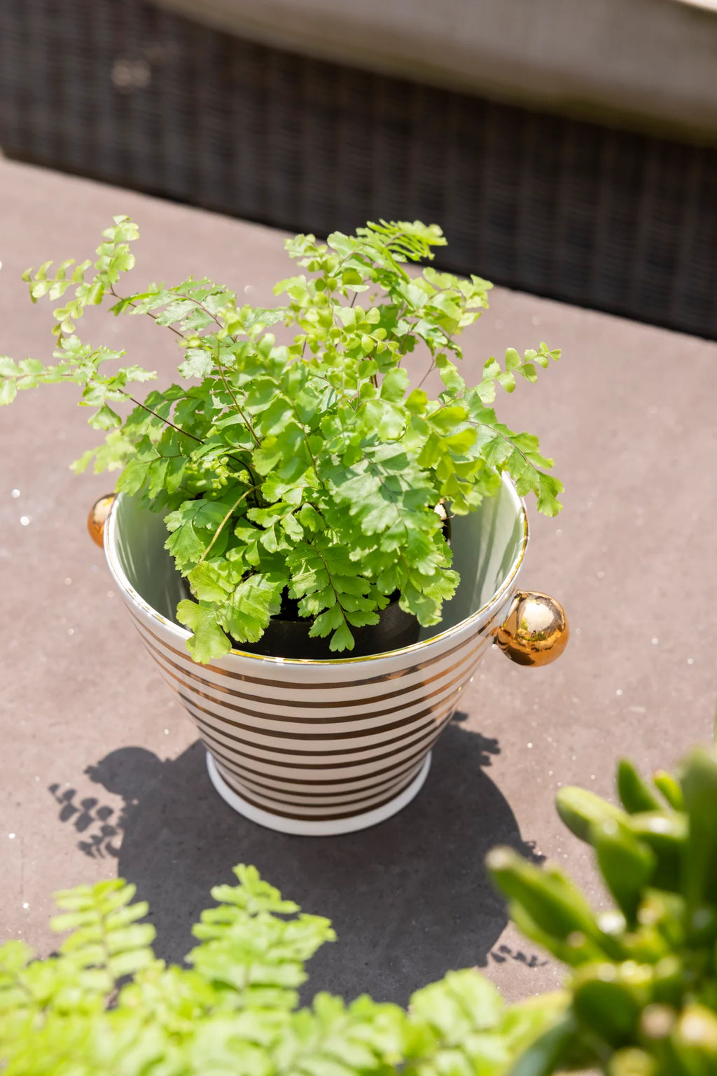 Ready to Ship- Mini Herb Pot