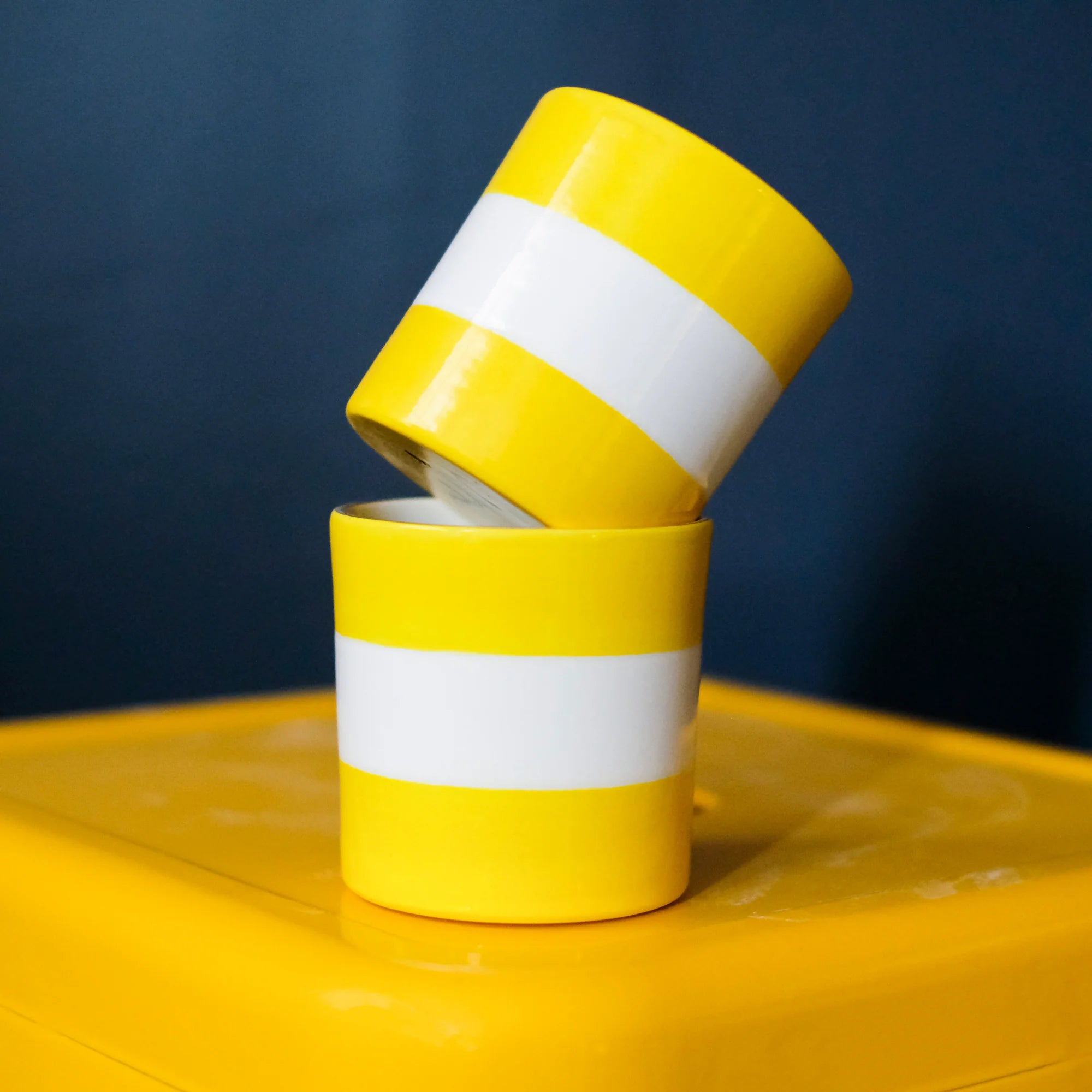 Canopy Stripe Jilly Cup